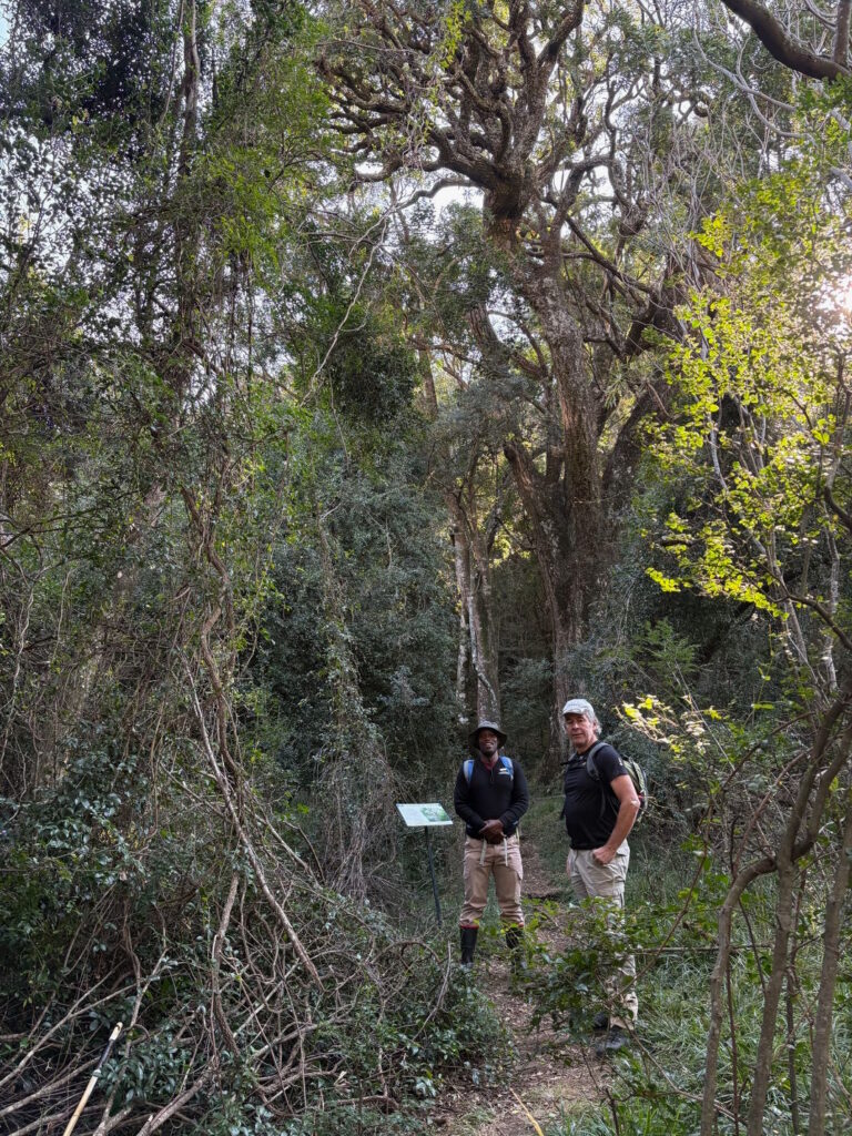 Northern Drakensberg Nature Way Day 1