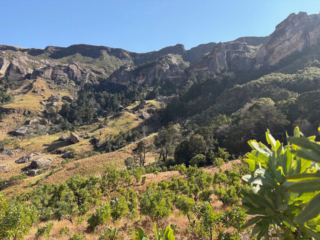 Northern Drakensberg Nature Way Day 1