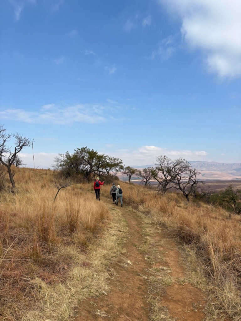 Day 3 - Berghouse to Montusi Mountain Lodge